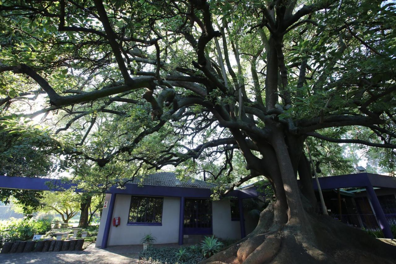 Big Tree Midrand Hotel Buitenkant foto